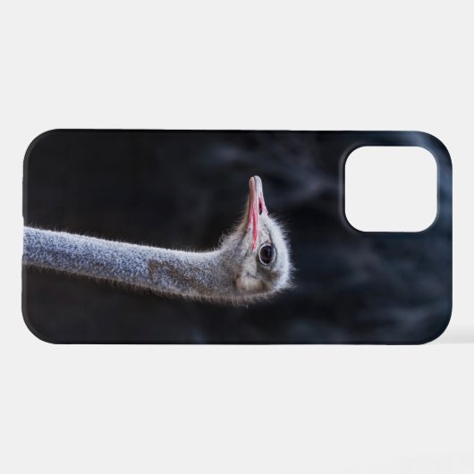 Portretostrip iPhone Hoesje (Achterkant horizontaal)