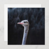 Portretostrip Kaart (Voorkant / Achterkant)