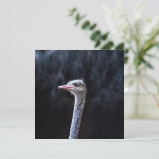 Portretostrip Kaart (Staand voorkant)