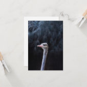 Portretostrip Kaart (Voorkant / Achterkant in situ)