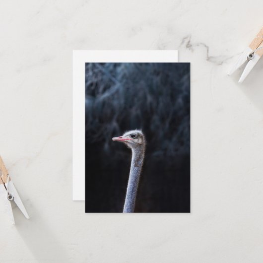 Portretostrip Kaart (Voorkant / Achterkant in situ)