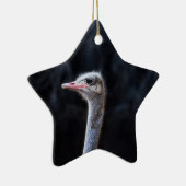 Portretostrip Keramisch Ornament (Rechts)