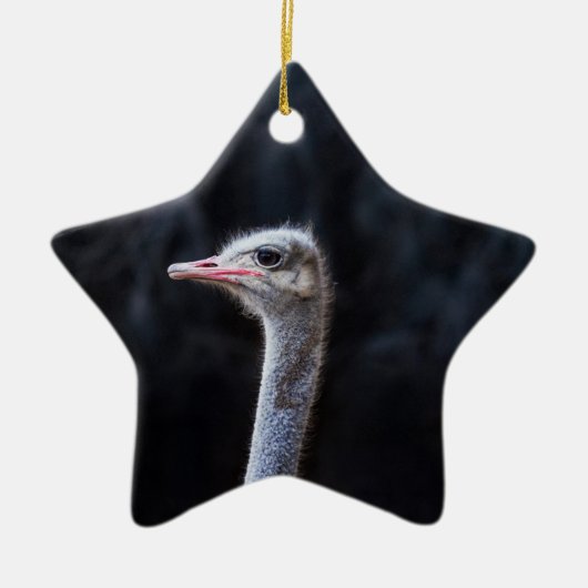 Portretostrip Keramisch Ornament (Voorkant)