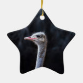 Portretostrip Keramisch Ornament (Achterkant)