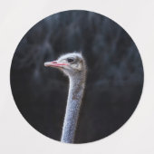 Portretostrip Labels (Design 2)