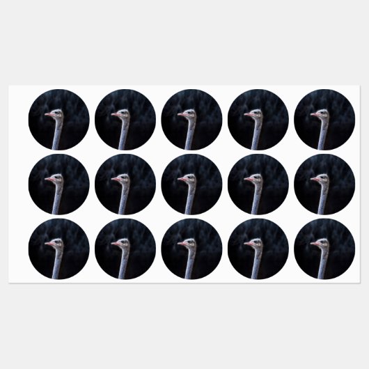 Portretostrip Labels (Vel)