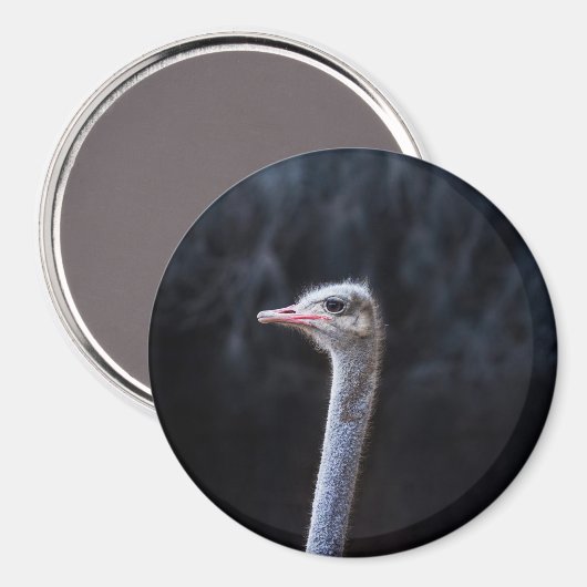 Portretostrip Magneet (Voorkant / Achterkant)