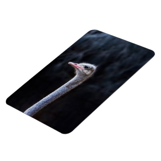 Portretostrip Magneet (Linkerzijde)