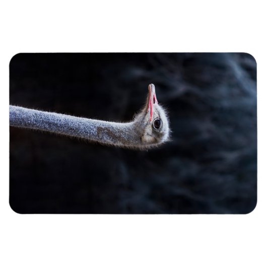 Portretostrip Magneet (Horizontaal)