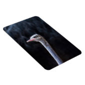 Portretostrip Magneet (Rechterzijde)