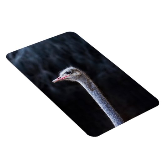 Portretostrip Magneet (Rechterzijde)