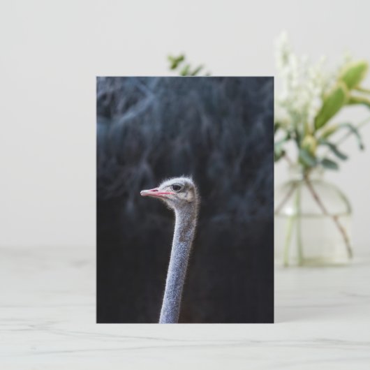 Portretostrip Menu (Staand voorkant)