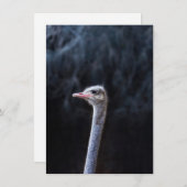 Portretostrip Menu (Voorkant / Achterkant)