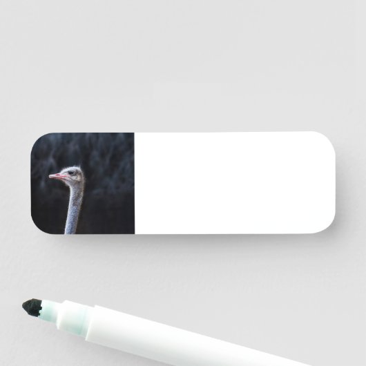 Portretostrip Naamplaatje (In situ)