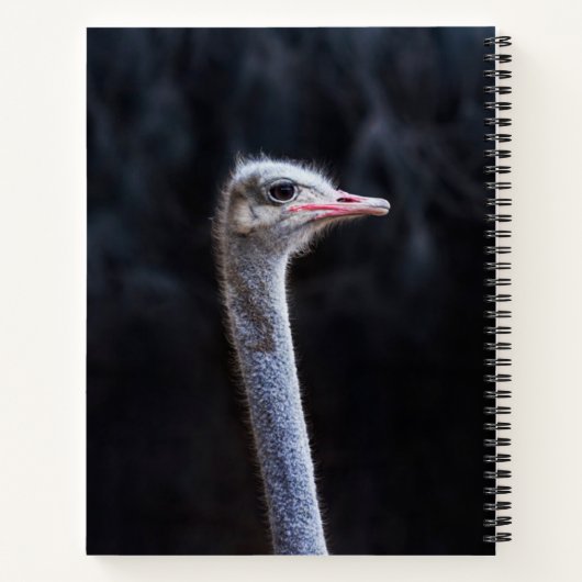 Portretostrip Notitieboek (Achterkant)