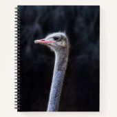 Portretostrip Notitieboek (Voorkant)