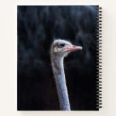 Portretostrip Notitieboek (Achterkant)