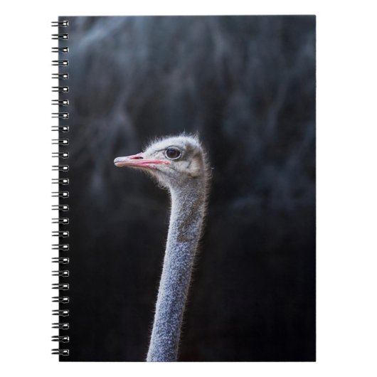 Portretostrip Notitieboek (Voorkant)