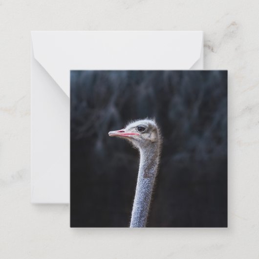 Portretostrip Notitiekaartje (Voorkant)