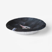 Portretostrip Papieren Kommen (Gebogen)