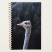 Portretostrip Planner (Voorkant)
