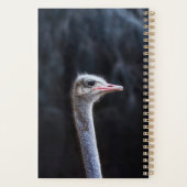 Portretostrip Planner (Achterkant)