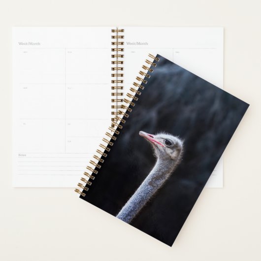 Portretostrip Planner (Display)