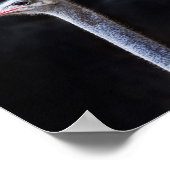 Portretostrip Poster (Hoek)