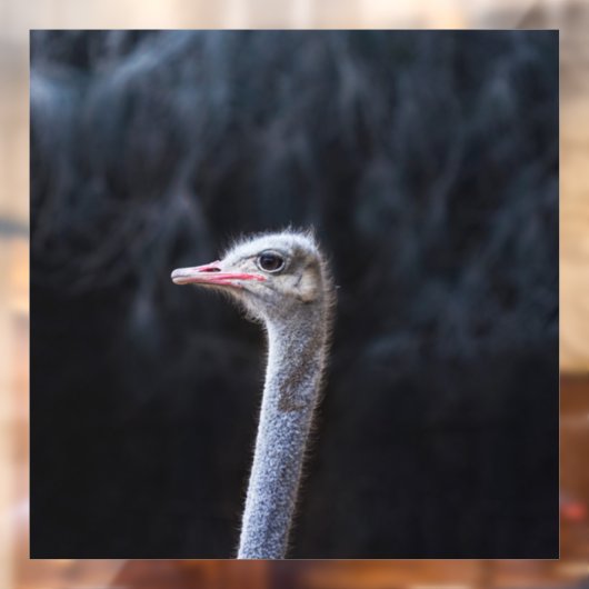 Portretostrip Raamsticker (Vel 2)