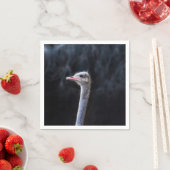 Portretostrip Servet (Insitu)