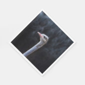 Portretostrip Servet (Hoek)