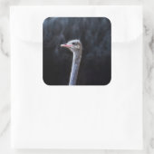 Portretostrip Vierkante Sticker (Tas)