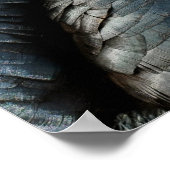 Portretschildpad Poster (Hoek)