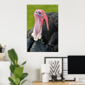 Portretschildpad Poster (Thuiskantoor)