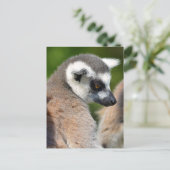 Portretstaartcitroenen Briefkaart (Staand voorkant)