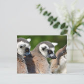 Portretstaartcitroenen Briefkaart (Staand voorkant)