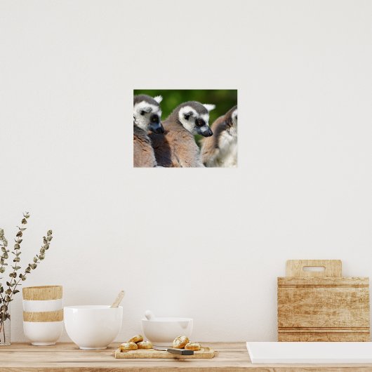 Portretstaartcitroenen Poster (Keuken)