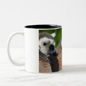 Portretstaartcitroenen Tweekleurige Koffiemok (Links)