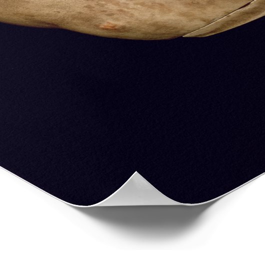 Portretstok van keizer Trajan Poster (Hoek)