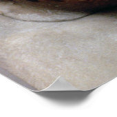 Portretstok van Sophocles Poster (Hoek)