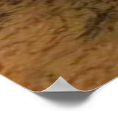 Portretten en afdrukken poster (Hoek)