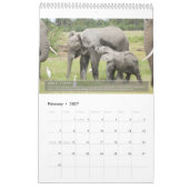 Portretten van de levensduur van een olifant kalender (Feb 2027)