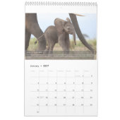 Portretten van de levensduur van een olifant kalender (Jan 2027)