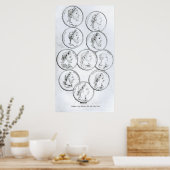 Portretten van de Romeinse keizer Poster (Keuken)