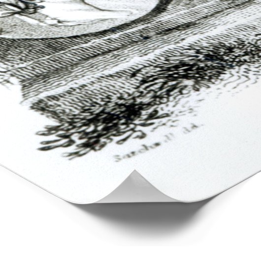 Portretten van de Romeinse keizers van Poster (Hoek)