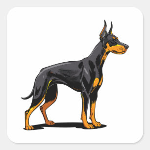 Portretten van een Dobermann kop, vooraanzicht Vierkante Sticker