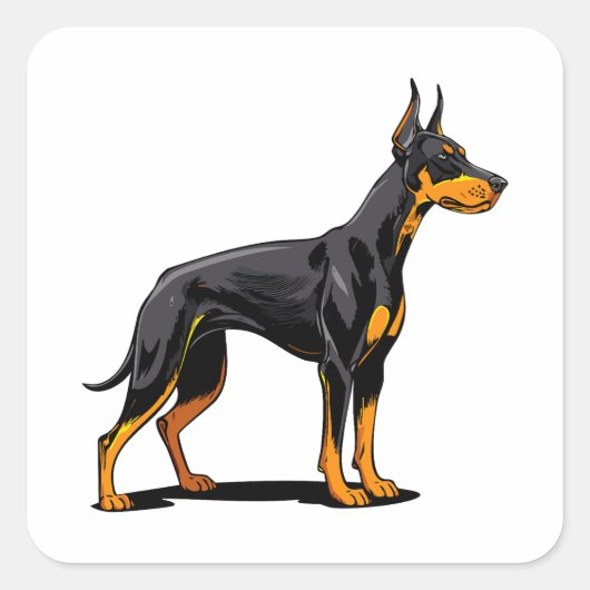 Portretten van een Dobermann kop, vooraanzicht Vierkante Sticker (Voorkant)