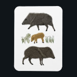 Portretwoestijndieren uit de familie Javelina Magneet<br><div class="desc">Decoreer je ruimte met deze schattige tekening van javelinas. Het is een geweldig cadeau! U kunt het aanpassen en tekst ook toevoegen. Bekijk mijn winkel voor veel meer overeenkomende objecten en andere design!</div>