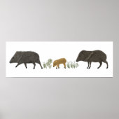 Portretwoestijndieren uit de familie Javelina Poster (Voorkant)