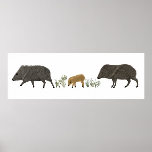 Portretwoestijndieren uit de familie Javelina Poster (Voorkant)